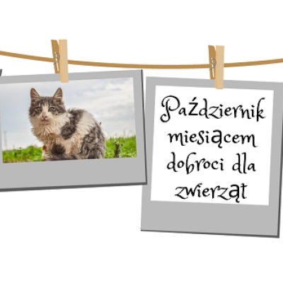 Regulamin konkursu fotograficznego 